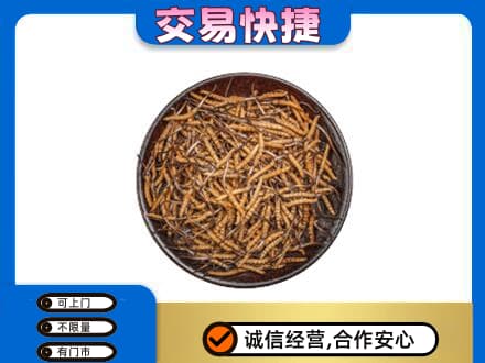 益阳高价回收散虫草